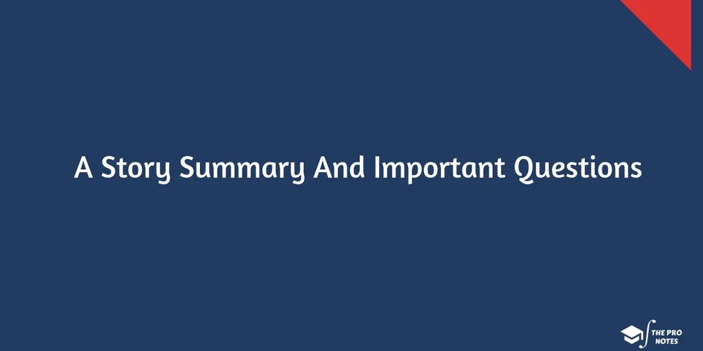 A Story Summary And Important Questions