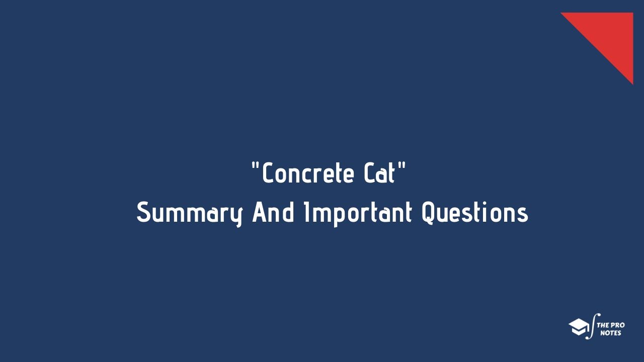 Concrete Cat Summary And Important Questions