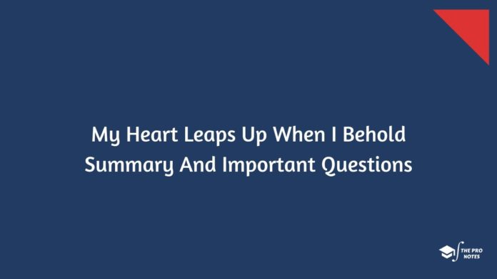 My Heart Leaps Up When I Behold Summary And Important Questions