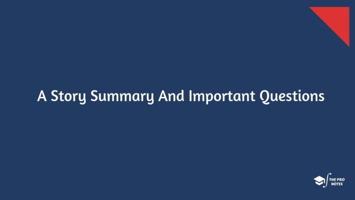 A Story Summary And Important Questions