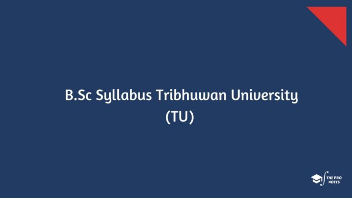 B.Sc Syllabus Tribhuwan University (TU)