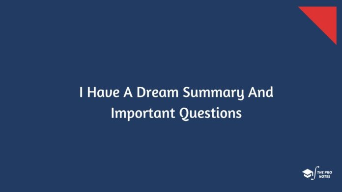 I Have A Dream Summary And Important Questions