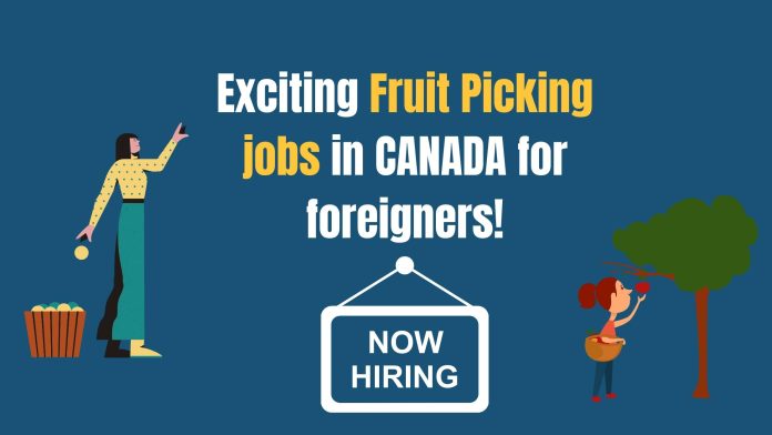 fruit-picking-jobs